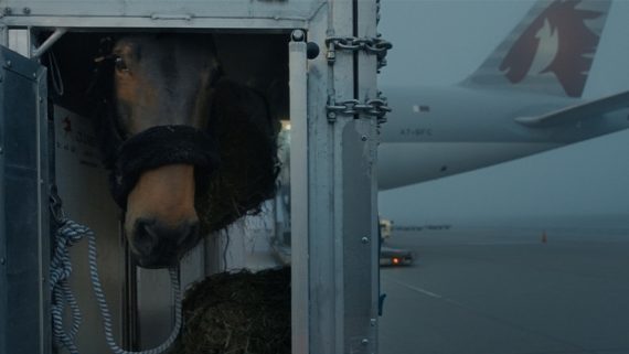Air Horse One