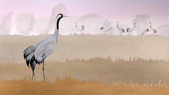 Kaszubia Kaszubia