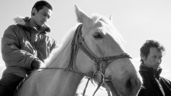 Ride your horse