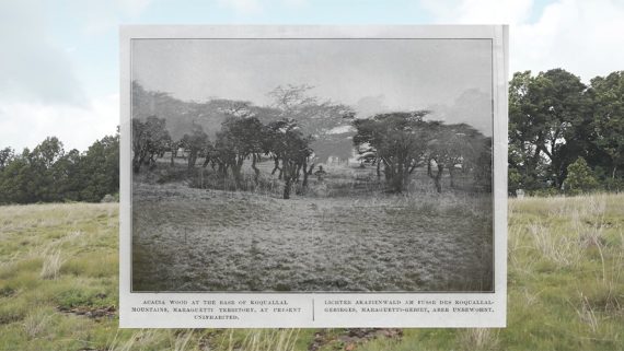The recce